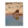 Girafe Cadre