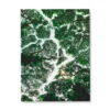 Peinture Jungle
