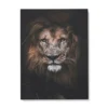 Poster Tete De Lion Noir Et Blanc