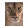 Tableau Decoration Lion
