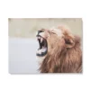 Tableau Lion Qui Rugit