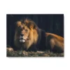 Tableau Mural Lion