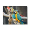 Tableau Perroquet Multicolore