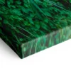 Décoration Jungle – Image 4