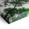 Peinture Jungle – Image 4