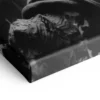 Tableau De Perroquet Noir Et Blanc – Image 4