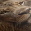 Cadre Avec Tete De Lion – Image 5