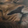 Cadre Tete De Lion – Image 5