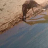 Girafe Cadre – Image 5