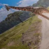 Impression Sur Toile Girafe – Image 5