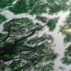 Peinture Jungle – Image 5