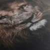 Poster Tete De Lion Noir Et Blanc – Image 5