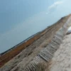 Tableau Cap Ferret – Image 4