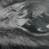 Tableau De Lion – Image 5
