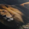 Tableau Mural Lion – Image 5