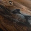 Toile Tete De Lion – Image 5