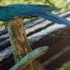 Toiles Peinte Avec Perroquets – Image 5