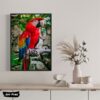 poster-perroquet