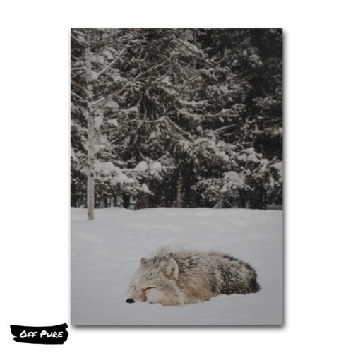 loup-poster-affiche
