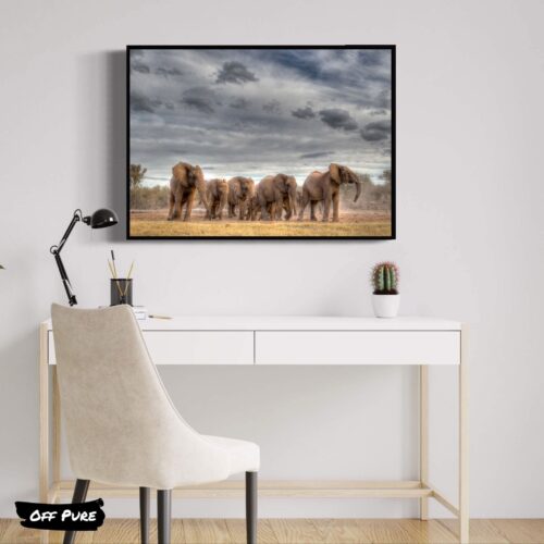 decoration-elephant-tribu-elephants