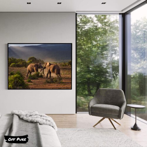 decoration-elephant-elephants-joueurs