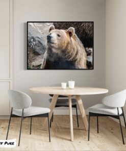 tableaux-xxl-ours-foret