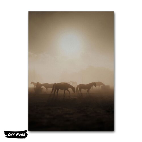 cadre-chevaux-poster