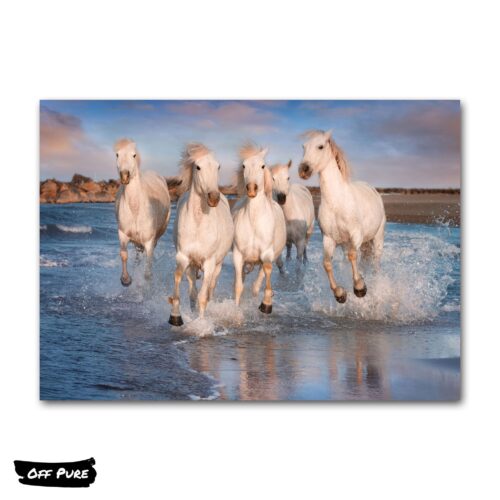 toile-chevaux-poster