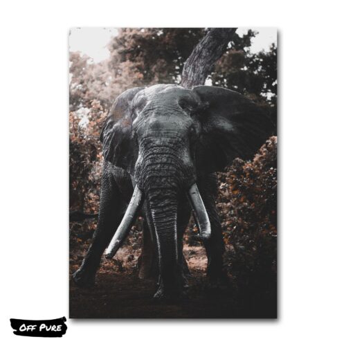 poster-elephant-elephant-imposant