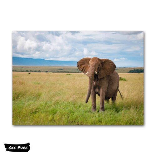poster-elephant-savane