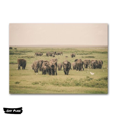 poster-elephant-troupe-elephants