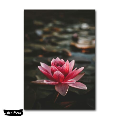 poster-tableau-zen-fleur-de-lotus