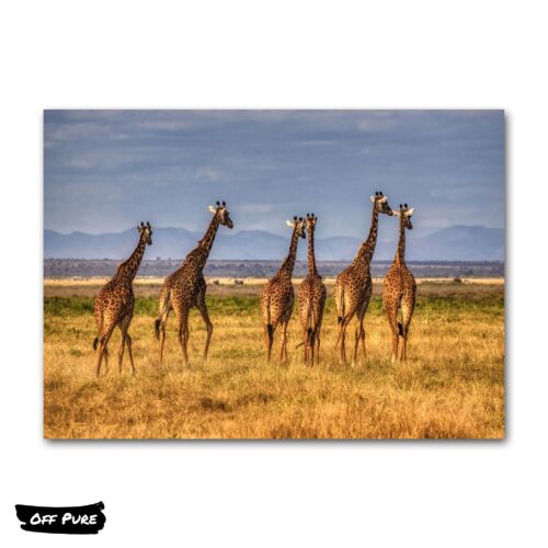 tableau-de-girafe-poster