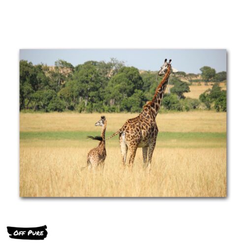 tableau-sur-toile-avec-girafe-poster