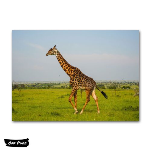 cadre-toile-girafe-poster