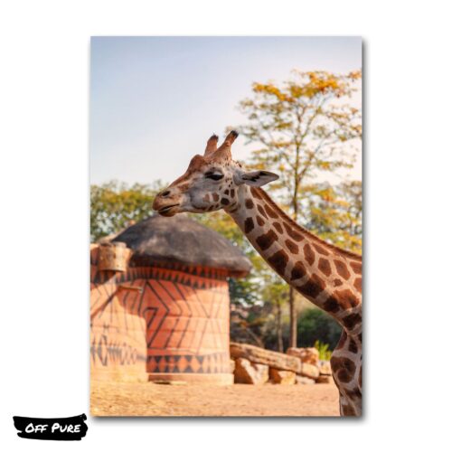 girafe-tableau-couleurs-poster