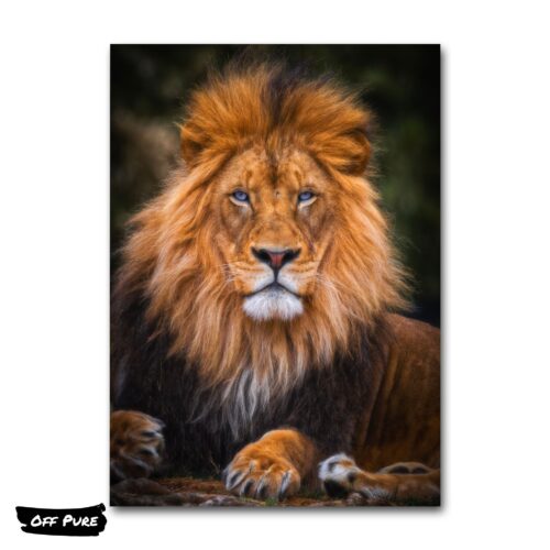 lion-affiche-poster