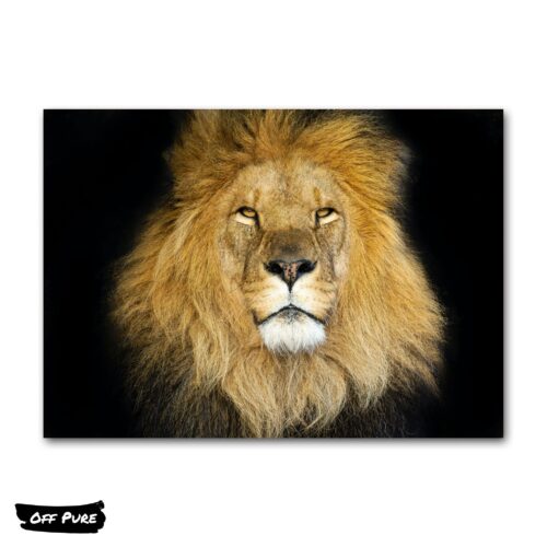 poster-mural-lion-poster