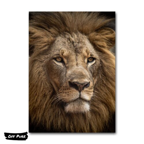 cadre-avec-tete-de-lion-poster