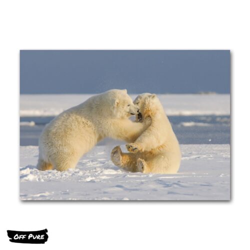 ours-blanc-sur-toile-poster