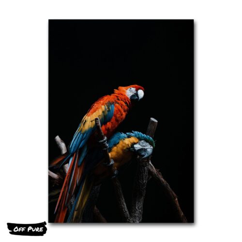 tableau-tropical-perroquet-poster