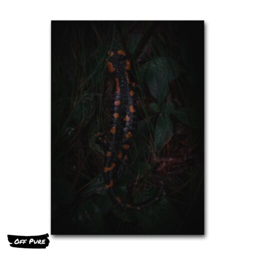 toile-salamandre-poster