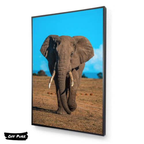 tableau-elephant-imposant