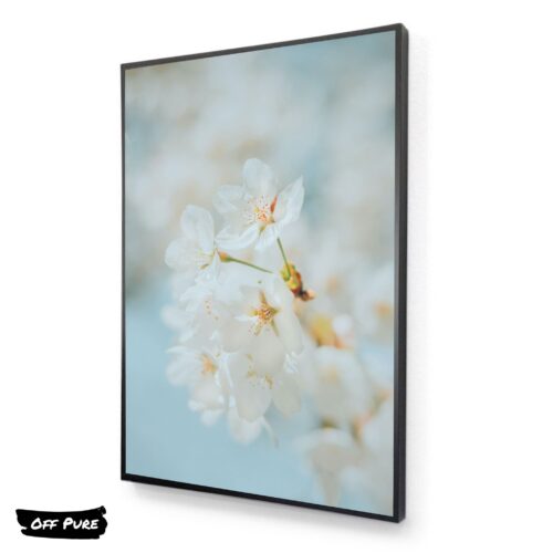 tableau-poster-fleur-blanche