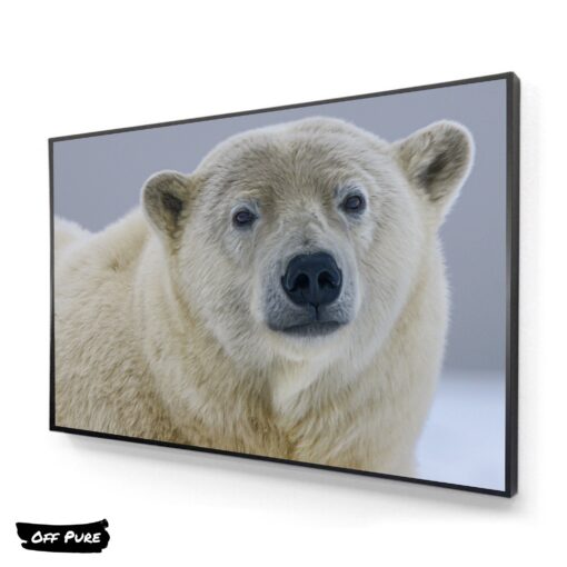 cadre-ours-polaire-tableau