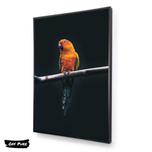 perroquet-orange-tableau