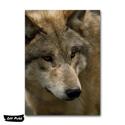 tableau-photo-loup-poster