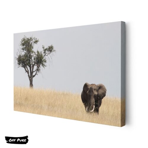toile-elephant-savane-africaine