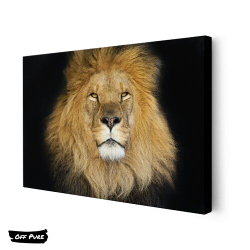 poster-mural-lion-toile
