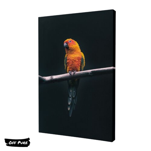 perroquet-orange-toile